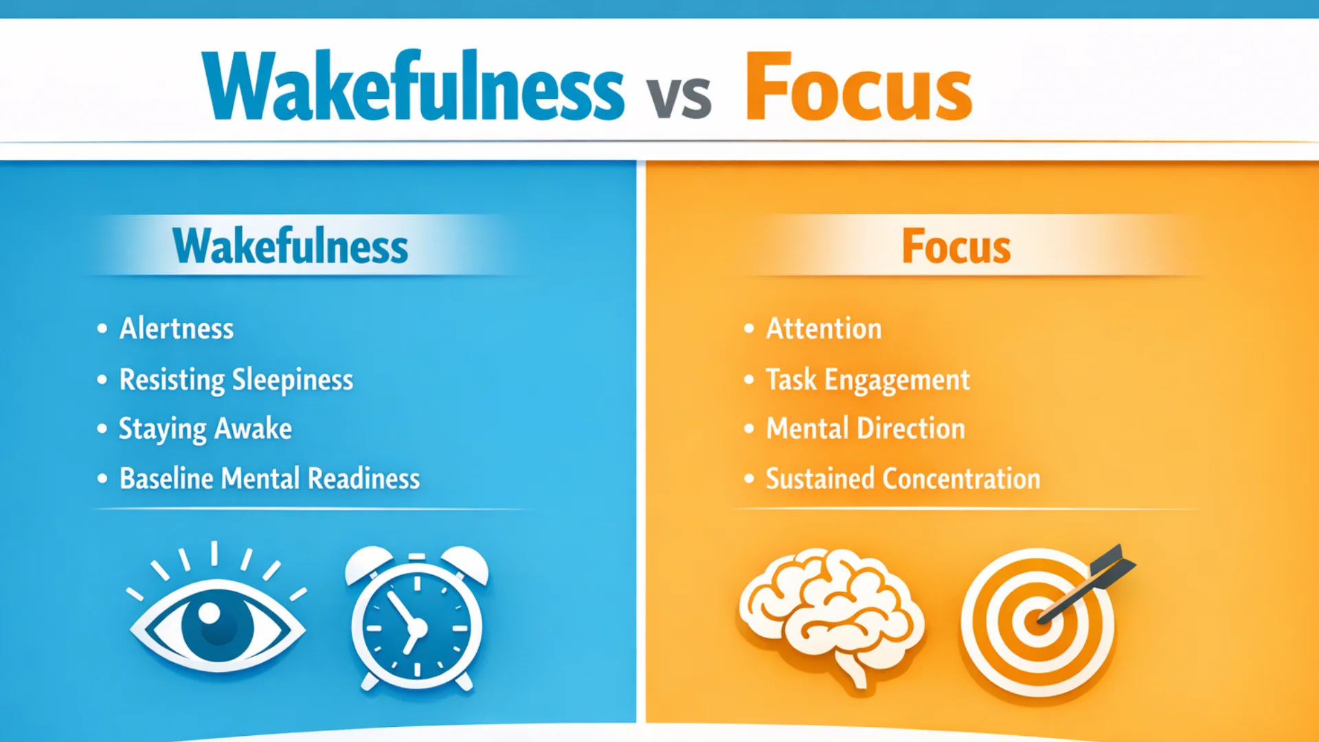 Comparison infographic showing wakefulness versus focus, explaining alertness and resisting sleepiness compared with attention and task engagement