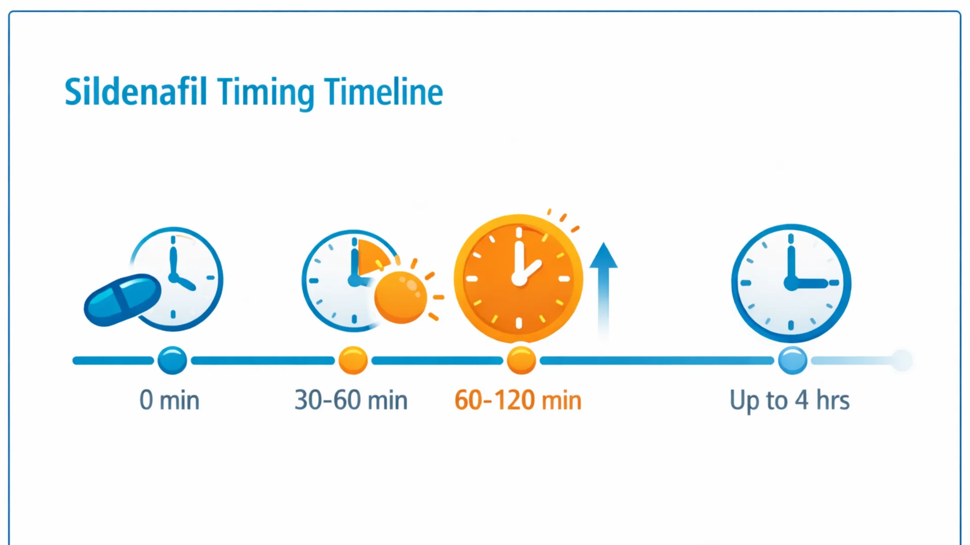 How Fast Sildenafil Works illustrated in a visual timeline showing onset, peak effectiveness, and duration up to 4 hours