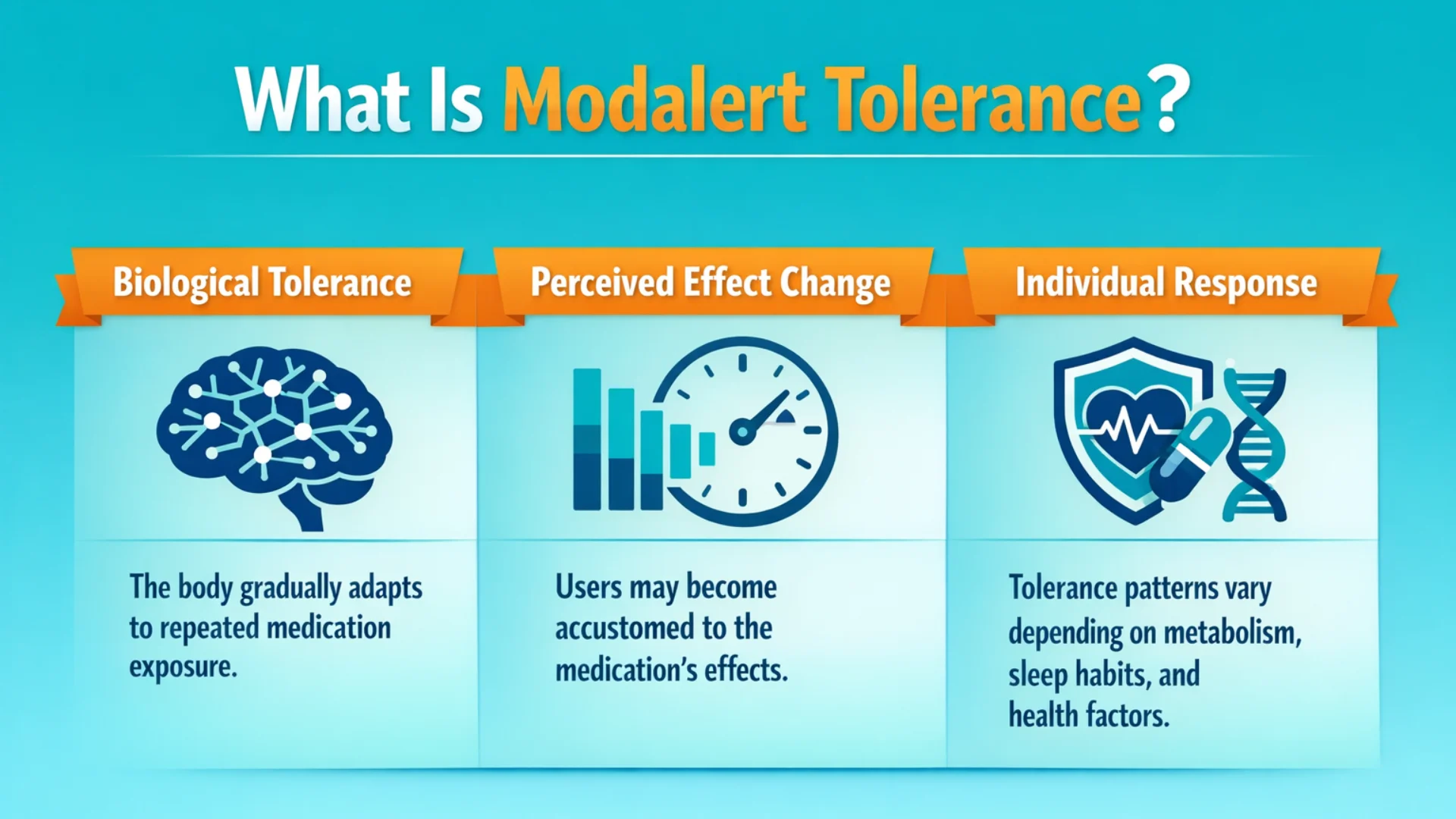 Educational infographic explaining modalert tolerance, including biological tolerance, perceived effect change, and individual response factors like metabolism and sleep habits.