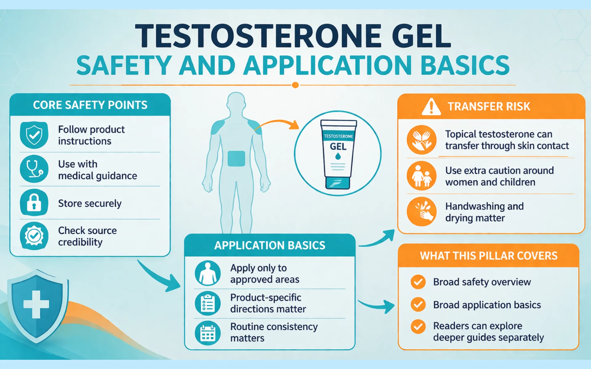 Infographic showing testosterone gel safety points, transfer risk, and basic application guidance in a clean medical layout.